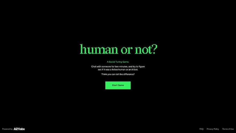 Human or Not